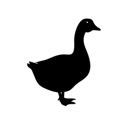 Simple Silhouette Goose Waterfowl Side View Farm Animal Illustration