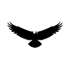 Minimalist Silhouette Soaring Eagle with Open Wings Wild Animal Illustration