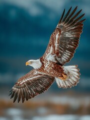 The eagle spread its wings and soared into the sky.