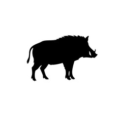 Silhouette Wild Warthog Standing Profile Illustration Wildlife Animal Illustration