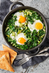 shakshuka green sauce loaded with fresh herbs, spinach, and spices is the perfect foil for rich, runny eggs closeup on the pan on the table. Vertical top view from above