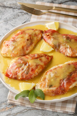 chicken saltimbocca crispy, golden, and bathed in lemony pan sauce closeup on the plate on the table. Vertical