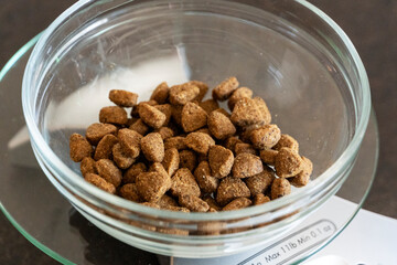 A bowl filled with dry dog or cat food placed on a digital kitchen scale, concept of portion control, balanced pet nutrition, and responsible feeding.