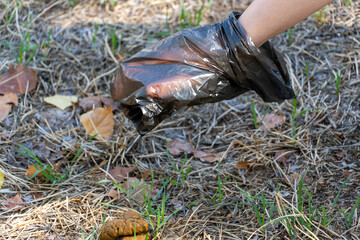 Close up of a Hand picking up dog poo with a plastic bag in a park. Responsible pet owner cleaning after dog, environmental care and hygiene concept. © Nestudio
