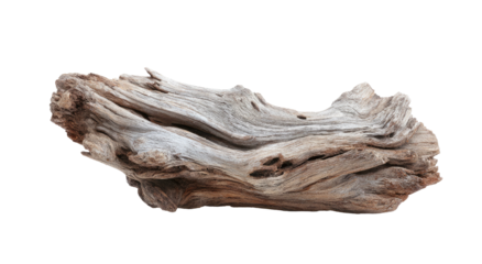 Driftwood piece, natural form