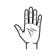 Outline of a Hand Showing Palm and Fingers