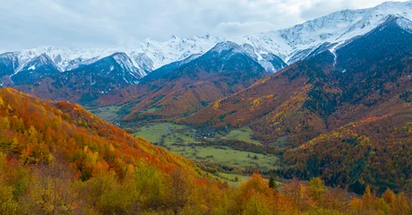 Selbstklebende Fototapeten Fallen Breath taking view of evening sunset scene a mountain in  Autumn scene with snow at Mestia Georgia, autumn forest  © SASITHORN