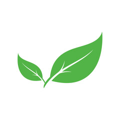 Two Green Leaves Vector Icon