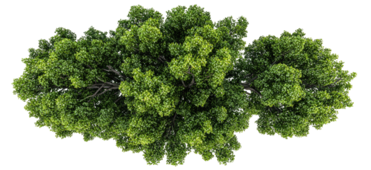 Aerial view of a lush green forest canopy