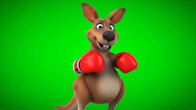 Cartoon Kangaroo Boxer on Green Screen - This stock video shows a 3D animated kangaroo character wearing red boxing gloves, set against a green chroma key background.