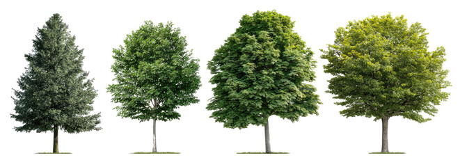 Four Trees in a Row