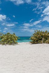 Scenic view of a tropical beach, white sand, green vegetation and an amazing turquoise streaked sea. Paradise on earth, peaceful, nobody around. Luxury vacation concept. Copy space. 