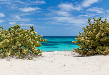 Scenic view of a tropical beach, white sand, green vegetation and an amazing turquoise streaked sea. Paradise on earth, peaceful, nobody around. Luxury vacation concept. Copy space. 