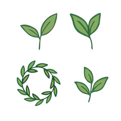 Green Tea Leaves Vector Illustration. Minimal Tea Leaf Botanical Design. Tea Sprout Leaves Outline Vector. Fresh Herbal Tea Leaves Collection. Green Tea Leaf Illustration.