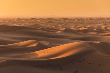 Golden dunes of the Sahara Desert in Morocco at sunset – scenic sand landscape with waves of dunes and dramatic light in North Africa