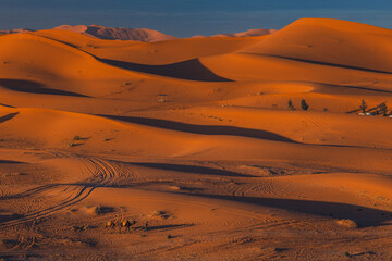 Golden dunes of the Sahara Desert in Morocco at sunset – scenic sand landscape with waves of dunes and dramatic light in North Africa