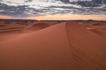 Golden dunes of the Sahara Desert in Morocco at sunset – scenic sand landscape with waves of dunes and dramatic light in North Africa