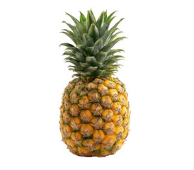 Fototapeta premium Single pineapple, vibrant yellow, green leaves (1)