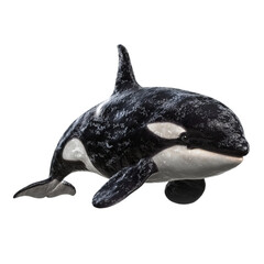 Obraz premium Png of full body shot of an orca isolated on transparent background, displaying its sleek design and powerful physique