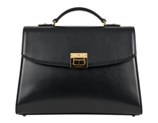 Angled Side View of Designer Handbag with Buckle, Showing Strap and Texture, isolated on transparent background.