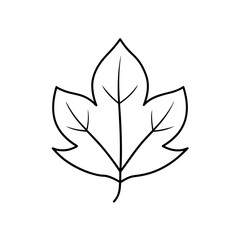 Simple outline of a leaf on transparent background