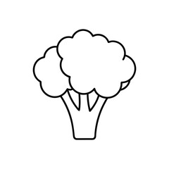 Simple broccoli outline on transparent background