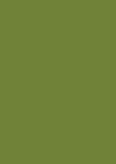 solid olive green background with natural muted tone and smooth flat finish