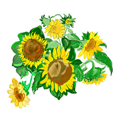 sunflower. hand drawn illustration