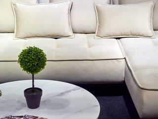 Stylish beige sofa with cushions and a small decorative plant on a round marble coffee table, creating a cozy modern interior.