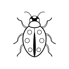 Ladybug outline with spots on transparent background