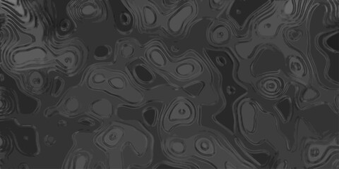 Grayscale Abstract Topographic Map Pattern with Smooth Contours and Organic Shapes for Backgrounds texture