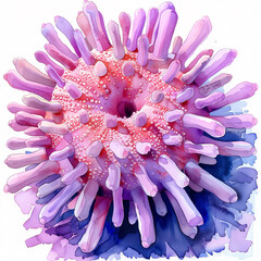 Sea Urchin Macro Photography, Pink and Purple Spines, Scientific Specimen