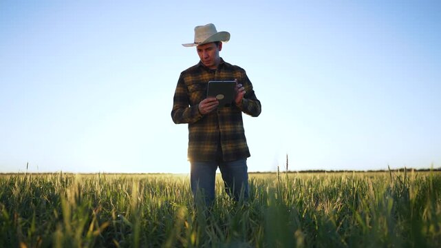 agronomist in plaid shirt inspects crop with tablet. farming technology by agronomist. Farmer uses tablet to monitor crop. Digital agriculture tools for farmer. Farmer enhances crop yield with tablet.