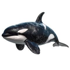Png of orca swimming gracefully isolated on transparent background, showcasing its powerful body and distinctive markings