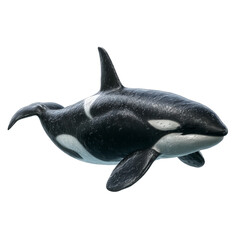 Png of magnificent orca swimming gracefully in the vast ocean, its iconic black and white pattern a symbol of the sea isolated on transparent background