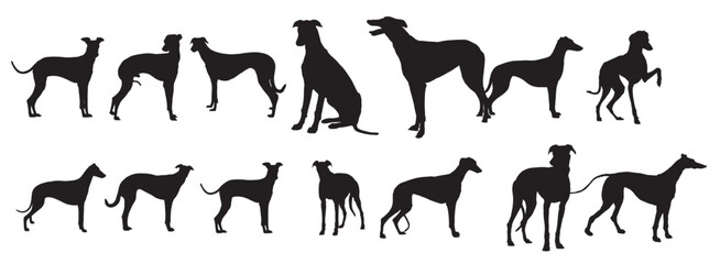greyhound dogs silhouette vector illustration