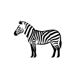 Obraz premium Black and white illustration of a zebra standing sideways on a clean white background, showcasing its distinctive striped pattern.