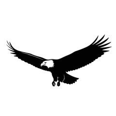 Fototapeta premium Black and white illustration of a bald eagle in flight, wings spread wide, soaring gracefully.