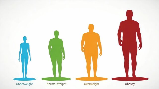 Body Weight Graphic Silhouette Figures Illustrating Underweight to Obesity