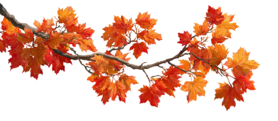 Autumnal branch with vibrant fall leaves