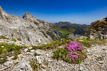 A view of Ojstrica mountain from the Srebrno sedlo in Kamnik-Savinja Alps, Slovenia