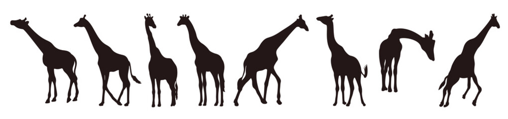 giraffe silhouette illustration group of african vector illustration