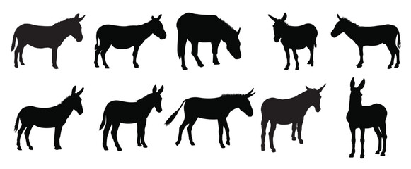 donkey silhouette vector illustration