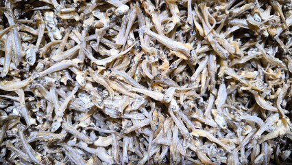 Close Up of Dried Anchovies