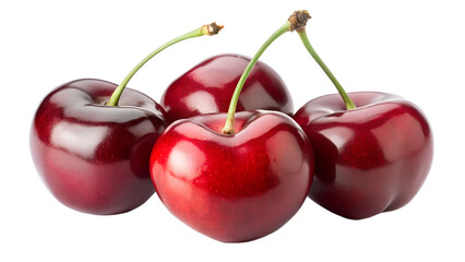 Four ripe, dark red cherries with stems isolated on transparent background
