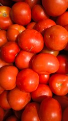Pile of Ripe Red Tomatoes