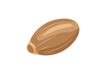 Single light brown seed illustration