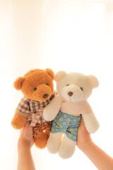 Playful Bears: two adorable teddy bears, held by child's hands, evoke feelings of comfort, affection, and playfulness. capturing the essence of childhood joy and companionship.