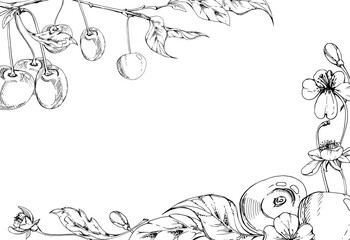 Sweet sour line cherry with plant leaves, white flowers, hand drawn vector ink, cerise berry clusters on stems. Horizontal corner frame illustration. Restaurant, cafe menu, wedding, farmers market