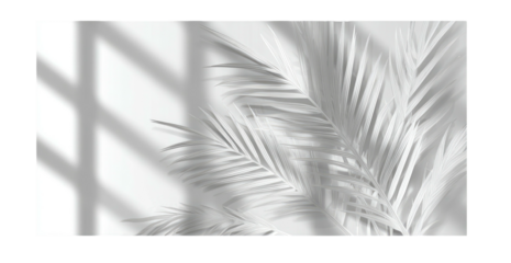Light and Shadow Palm Leaves